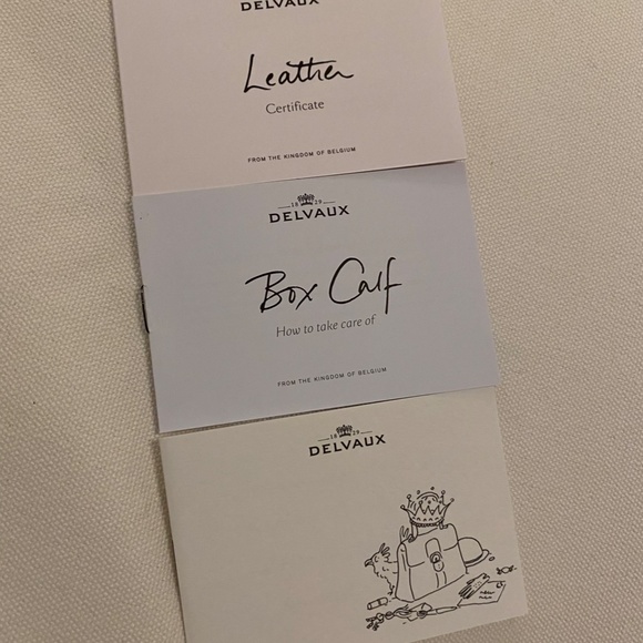 Delvaux Brilliant Medium Bag Ivory Calf Limited Edition New - Picture 12 of 13